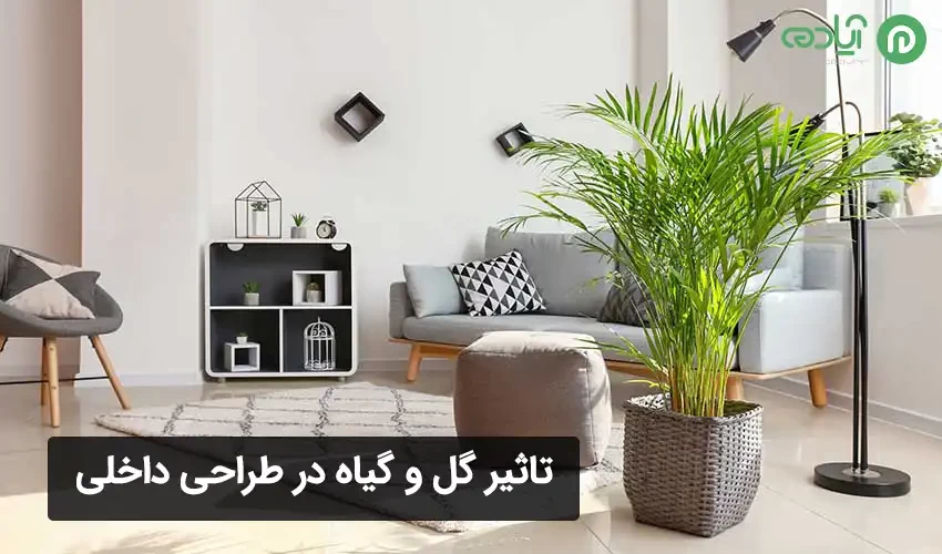 تاثیر گل و گیاه در طراحی داخلی